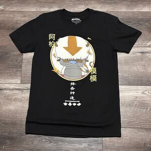 Avatar the Last Airbender Men's Medium T-Shirt Nickleodeon